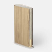 Bang & Olufsen BeoSound Emerge